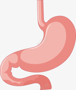 人体胃部器官图图标图标