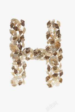 摆放的贝壳贝壳摆放的字母H高清图片