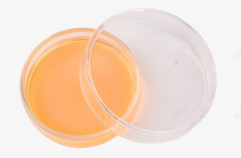 培养皿实物1个png免抠素材_88icon https://88icon.com 培养皿 实验 有盖 生物 细胞培养皿