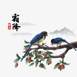红枣树古风霜降红枣树和鸟高清图片