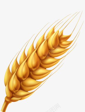 金色奖杯金色麦子谷物矢量图图标图标