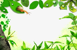 树叶蜗牛边框素材