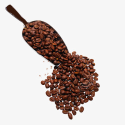 铲子一勺咖啡豆素材