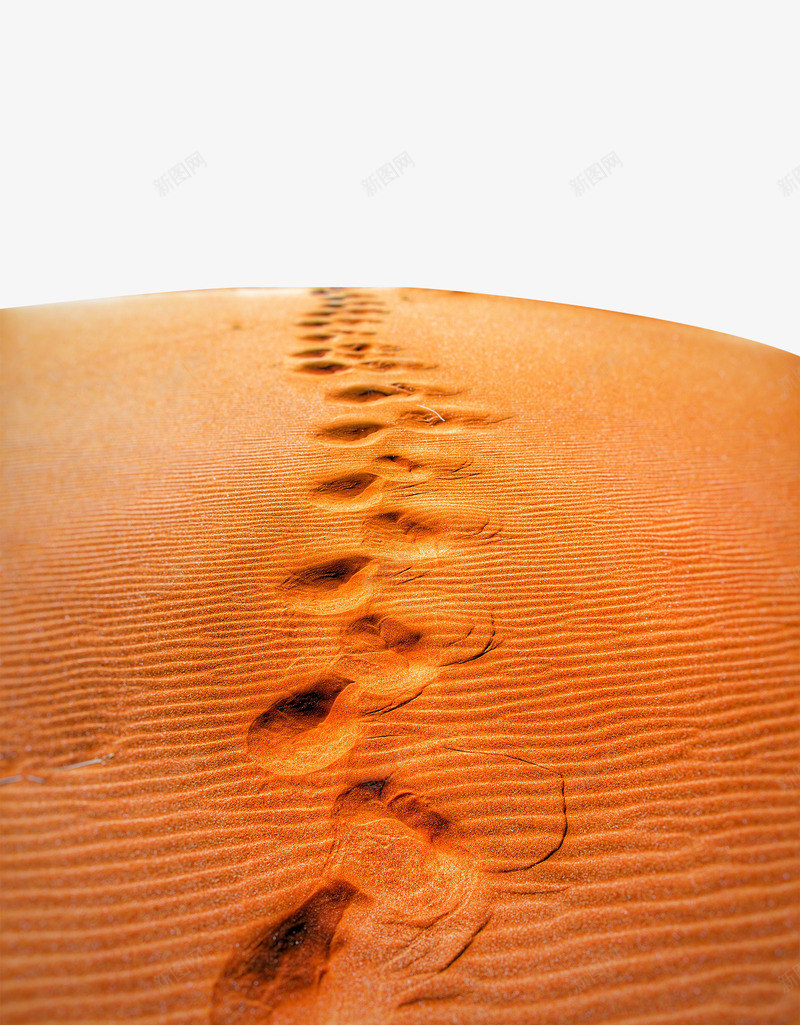 沙漠脚印png免抠素材_88icon https://88icon.com 沙子 沙滩上的脚印图片 沙滩脚印 沙漠 沙漠俯视图 脚印