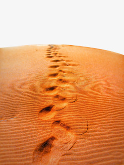 沙滩上男人的脚印沙漠脚印高清图片