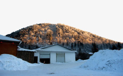冬天雪松雪乡山坡上清晨的暖阳高清图片