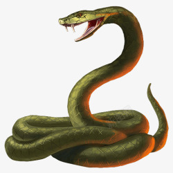 蛇免扣PNG图绿色的蛇高清图片