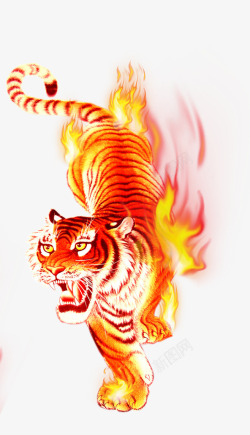 老虎图腾全身带火焰的老虎高清图片