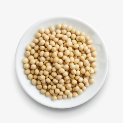 大豆黄豆豆子植物蛋白素材