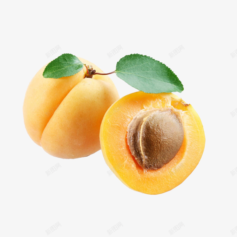 美味杏子png免抠素材_88icon https://88icon.com 杏子 水果 红杏 食物 黄色