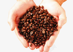 捧在手心的咖啡豆素材