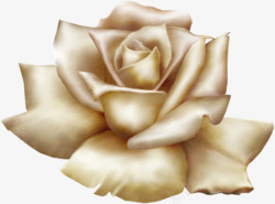 金色丝绸玫瑰花素材
