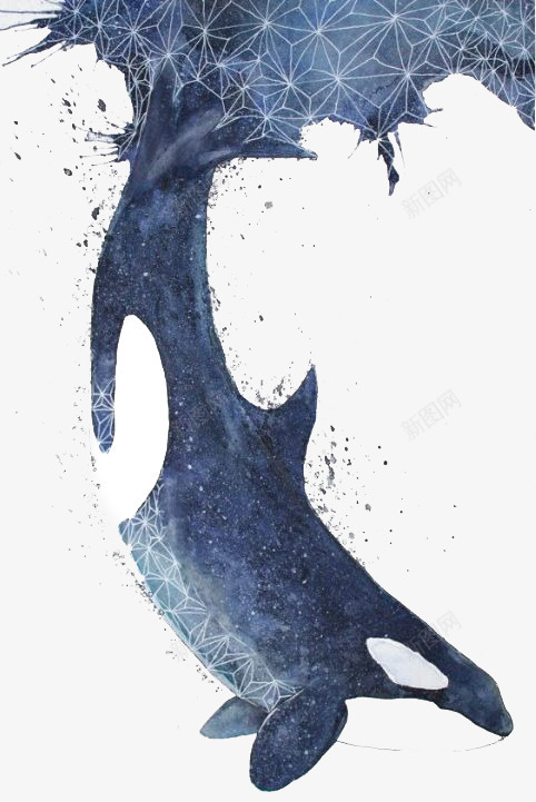 水彩鲸鱼png免抠素材_88icon https://88icon.com 创意 卡通鲸鱼 喷墨 手绘鲸鱼 海洋 蓝鲸 鲸鱼插图