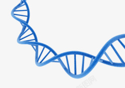 深蓝色dna遗传物质基因肽链脱素材