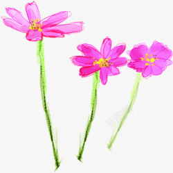 粉色春季促销小花素材