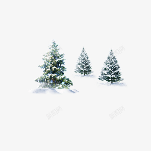 三棵冬天里的树png免抠素材_88icon https://88icon.com 冬天 树 白色 雪