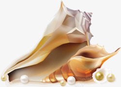海螺珍珠素材