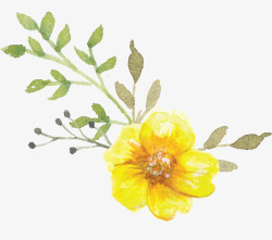 涂鸦手绘植物黄色花朵素材