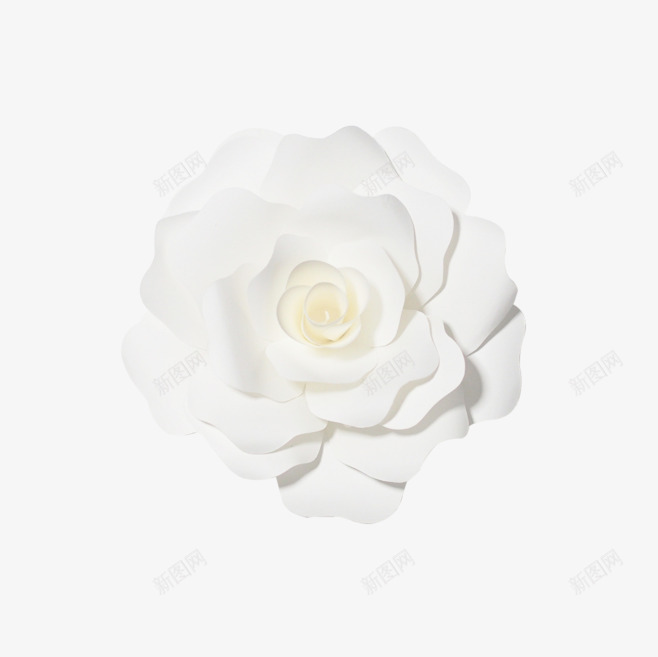 白色花朵植物浮雕png免抠素材_88icon https://88icon.com 植物 浮雕 白色 素材 花朵