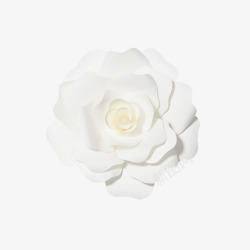 白色花朵植物浮雕素材