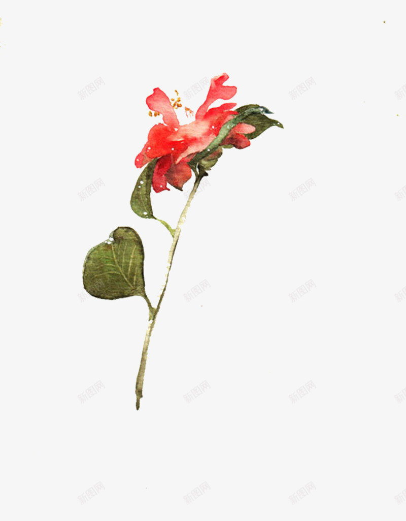 红花羊蹄甲png免抠素材_88icon https://88icon.com 手绘 植物 红色花 羊蹄甲 花卉 花朵