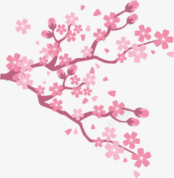 白色日本樱花粉色樱花树枝矢量图高清图片