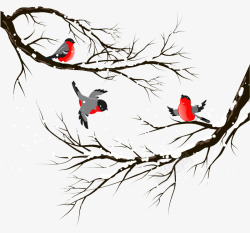 冬季鸟插画矢量图素材
