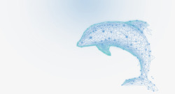 抽象鱼类海豚高科技点线面线条高清图片