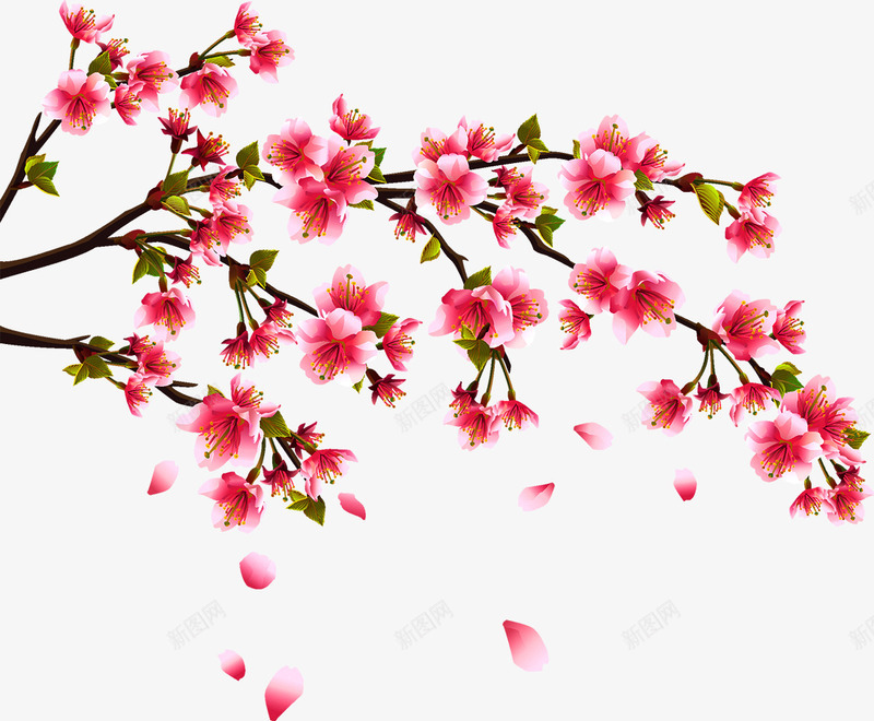 桃花边角装饰矢量图ai免抠素材_88icon https://88icon.com 桃花 花朵 装饰 边角 矢量图
