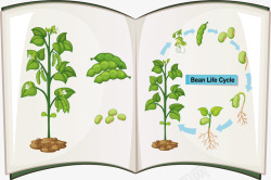 生物课本开学日生物课课本矢量图高清图片