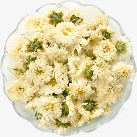菊花花茶茶叶养生png免抠素材_88icon https://88icon.com 养生 花茶 茶叶 菊花 菊花图案