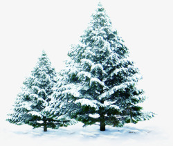 白色冬日大树雪景素材