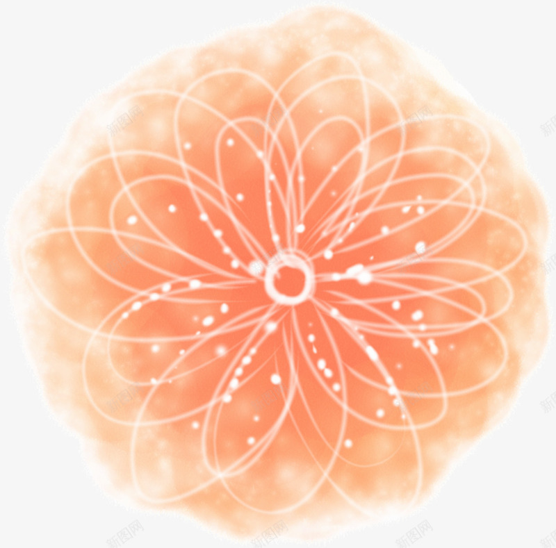 韩式小清新花卉卡片png免抠素材_88icon https://88icon.com 卡片 清新 花卉