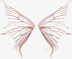 粉色蝴蝶翅膀素材