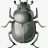 virus抗病毒攻击甲虫错误昆虫恶意害虫高清图片