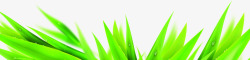 绿色竹叶端午节叶子素材