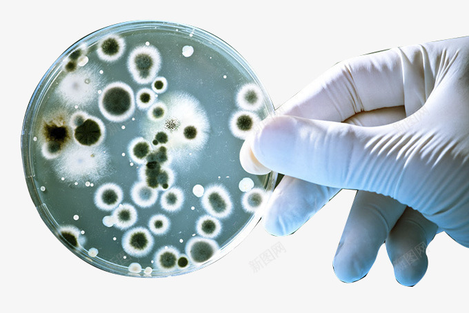 培养皿中的细菌png免抠素材_88icon https://88icon.com 发育 培养 培养皿 实验 斑点 显微镜 生物科研 科技 细胞培养皿 细菌