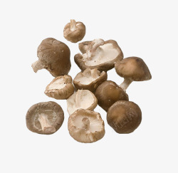 一堆好吃的蘑菇素材