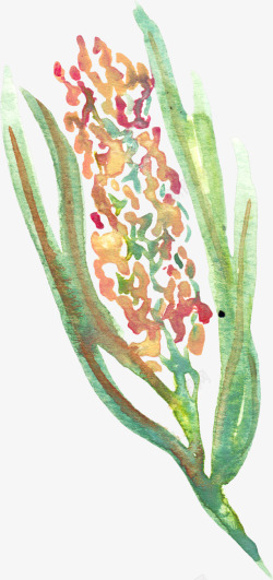 手绘植物花朵花卉素材