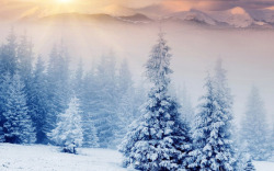 冬季雪景景观素材