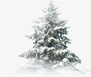 创意合成圣诞树松树png免抠素材_88icon https://88icon.com 创意 合成 圣诞树 松树