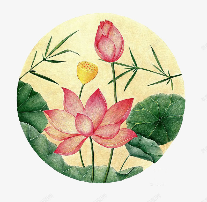 手绘荷花插画png免抠素材_88icon https://88icon.com 中国风 传统 手绘 水墨画 爱莲说 艺术 荷叶 荷花