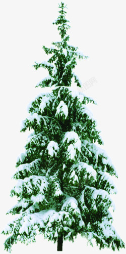 冬日圣诞树雪天装饰素材