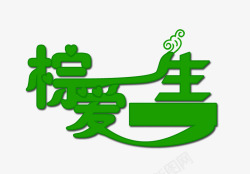 粽爱一生字体素材