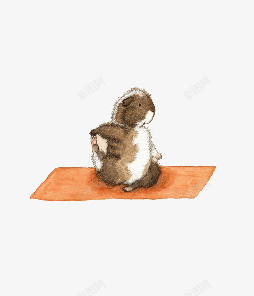 小豚鼠做瑜伽插画png免抠素材_88icon https://88icon.com 创意 可爱 小豚鼠 插画 橙色 瑜伽 瑜伽垫