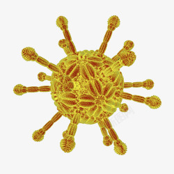 病毒颗粒免抠PNG病毒颗粒立体插画高清图片
