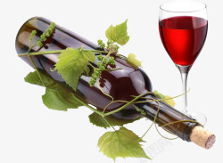 葡萄藤蔓缠绕的红酒素材