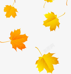 黄色手绘秋季枫叶装饰素材