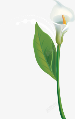白百合花瓣白色百合花手绘白百合花矢量图高清图片