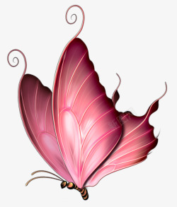 红色花纹蝴蝶翅膀素材